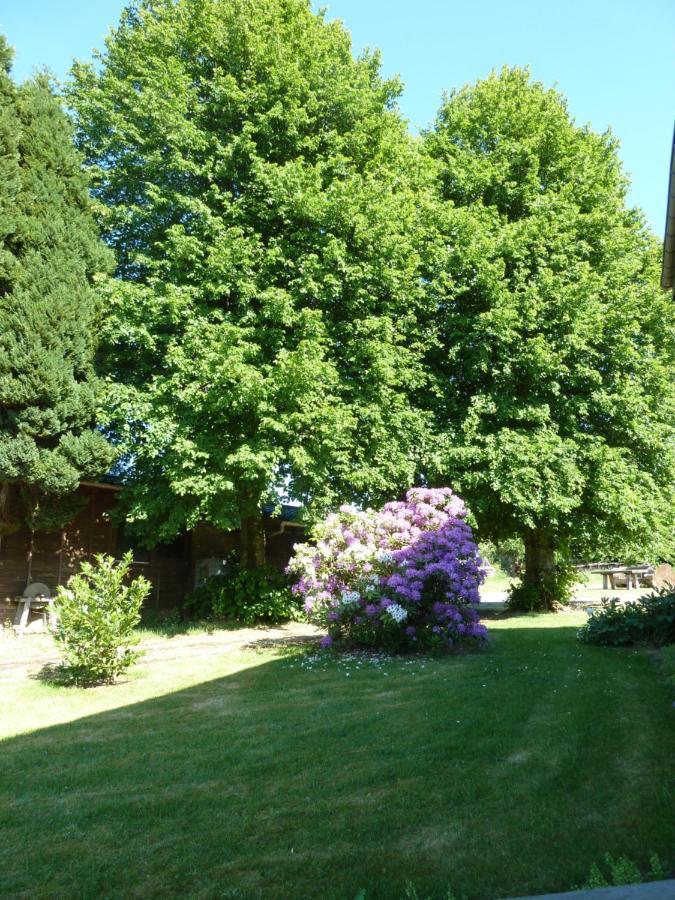 'Chez Lulu' - Gite Cocon Avec Bain Nordique Ardenne Nassogne Exterior foto