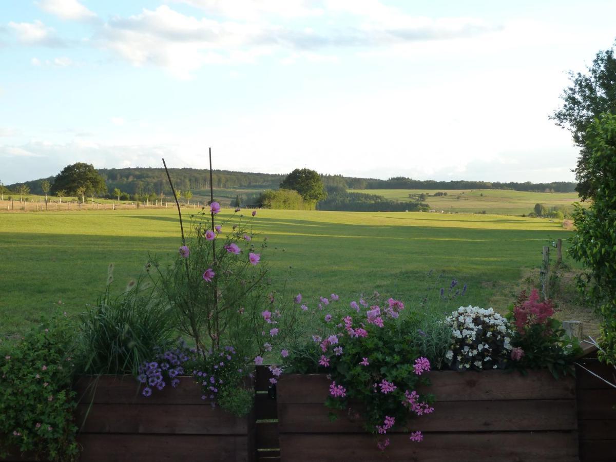 'Chez Lulu' - Gite Cocon Avec Bain Nordique Ardenne Nassogne Exterior foto